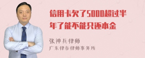 信用卡欠了5000超过半年了能不能只还本金