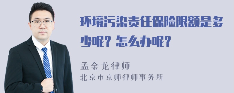 环境污染责任保险限额是多少呢？怎么办呢？