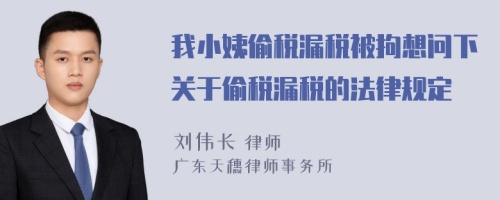 我小姨偷税漏税被拘想问下关于偷税漏税的法律规定