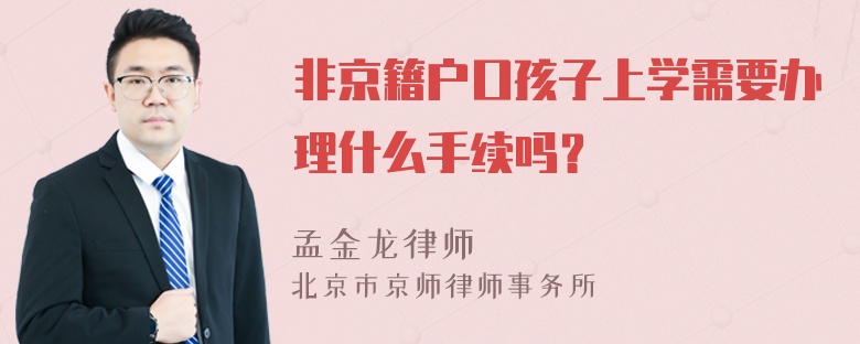 非京籍户口孩子上学需要办理什么手续吗？