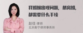 我婚姻出现问题，想离婚，都需要什么手续