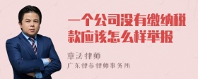 一个公司没有缴纳税款应该怎么样举报