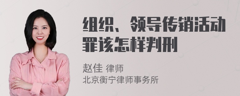 组织、领导传销活动罪该怎样判刑