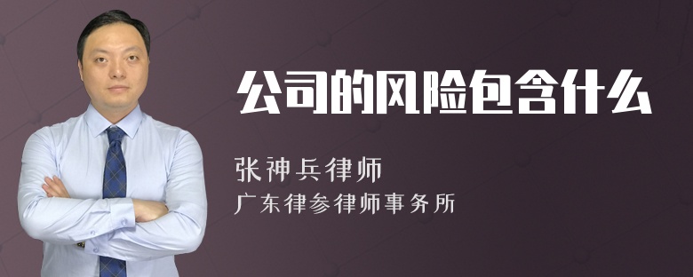 公司的风险包含什么