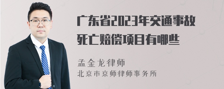 广东省2023年交通事故死亡赔偿项目有哪些