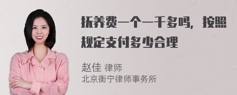 抚养费一个一千多吗，按照规定支付多少合理