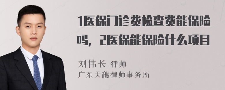 1医保门诊费检查费能保险吗，2医保能保险什么项目