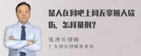 某人在网吧上网无辜被人砍伤，怎样量刑？