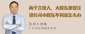 两个合伙人，大股东想要注销公司小股东不同意怎么办