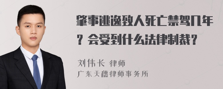 肇事逃逸致人死亡禁驾几年？会受到什么法律制裁？