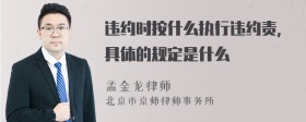 违约时按什么执行违约责，具体的规定是什么