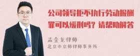 公司领导拒不执行劳动报酬罪可以缓刑吗？请帮助解答