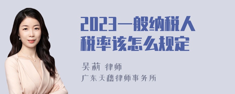 2023一般纳税人税率该怎么规定