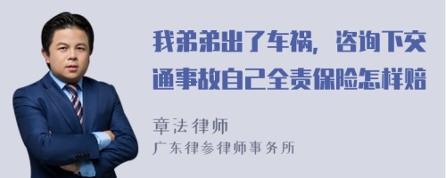 我弟弟出了车祸，咨询下交通事故自己全责保险怎样赔