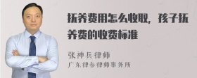 抚养费用怎么收取，孩子抚养费的收费标准