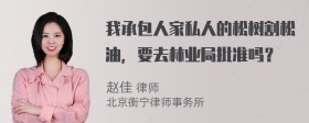 我承包人家私人的松树割松油，要去林业局批准吗？