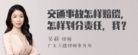 交通事故怎样赔偿，怎样划分责任，我？