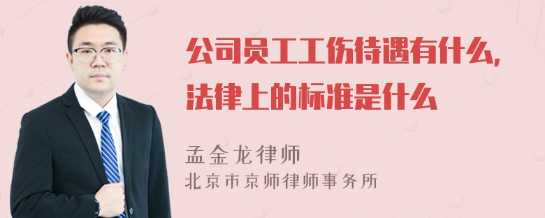 公司员工工伤待遇有什么，法律上的标准是什么