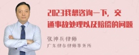 2023我想咨询一下，交通事故处理以及赔偿的问题