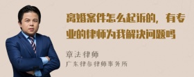 离婚案件怎么起诉的，有专业的律师为我解决问题吗