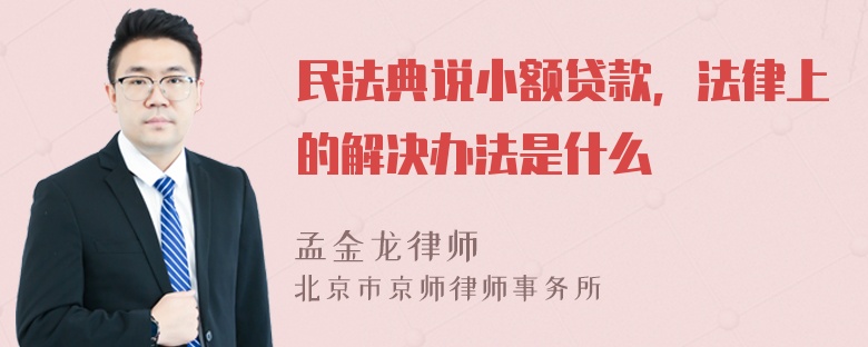 民法典说小额贷款，法律上的解决办法是什么