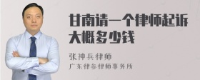 甘南请一个律师起诉大概多少钱