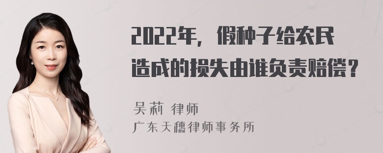 2022年，假种子给农民造成的损失由谁负责赔偿？