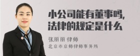 小公司能有董事吗，法律的规定是什么