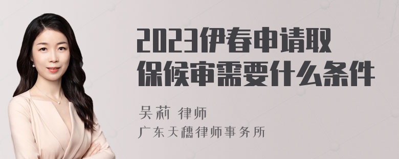 2023伊春申请取保候审需要什么条件