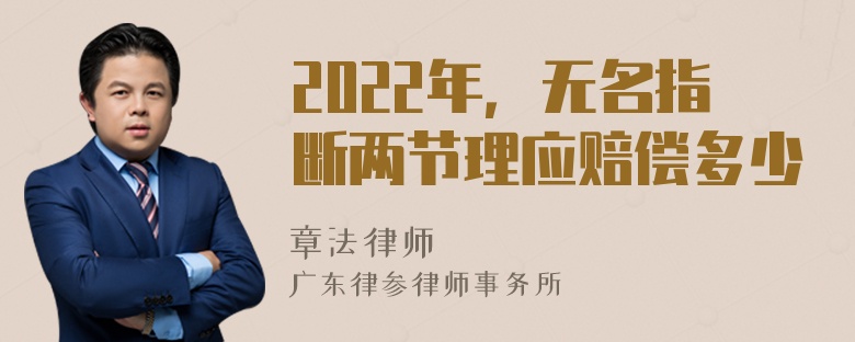 2022年，无名指断两节理应赔偿多少