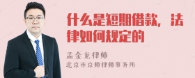 什么是短期借款，法律如何规定的