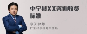 中宁县XX咨询收费标准