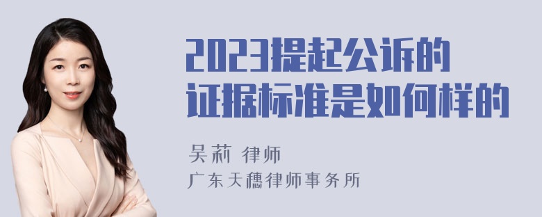 2023提起公诉的证据标准是如何样的