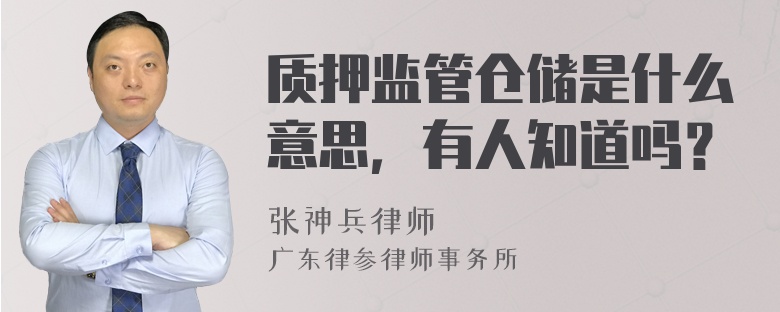 质押监管仓储是什么意思，有人知道吗？