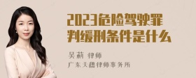 2023危险驾驶罪判缓刑条件是什么