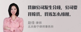 我和公司发生分歧，公司要开除我。我该怎么维权。