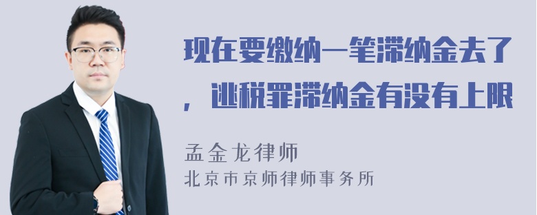 现在要缴纳一笔滞纳金去了，逃税罪滞纳金有没有上限