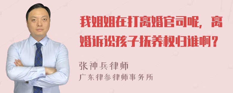 我姐姐在打离婚官司呢，离婚诉讼孩子抚养权归谁啊？