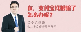 在，支付宝钱被骗了怎么办呢？