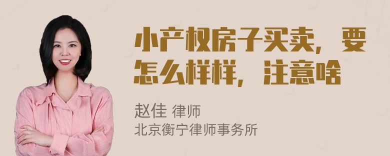 小产权房子买卖，要怎么样样，注意啥