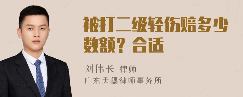 被打二级轻伤赔多少数额？合适