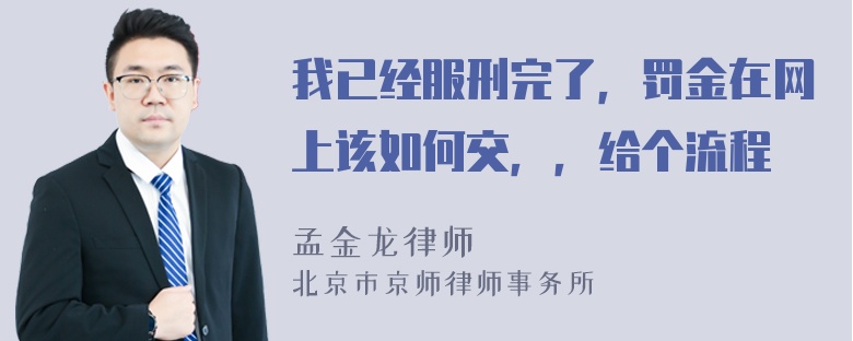 我已经服刑完了，罚金在网上该如何交，，给个流程