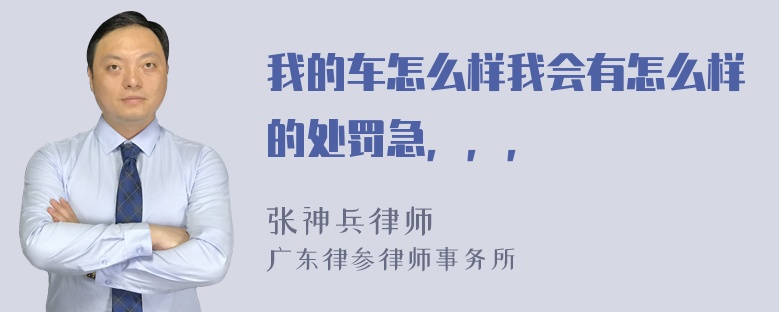 我的车怎么样我会有怎么样的处罚急，，，