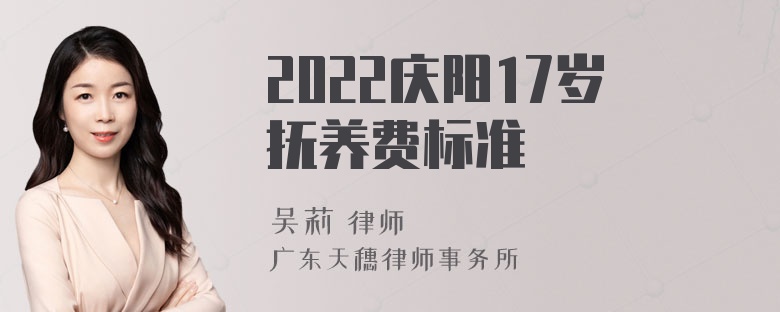 2022庆阳17岁抚养费标准