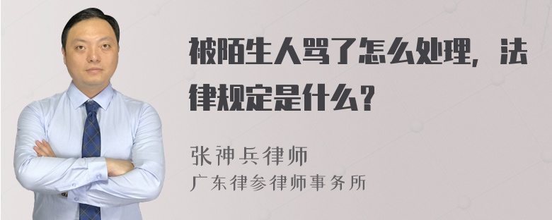 被陌生人骂了怎么处理，法律规定是什么？