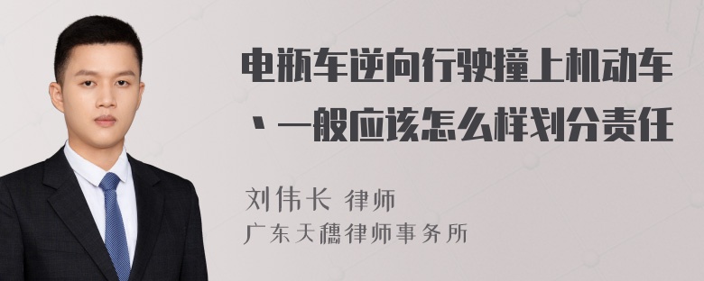 电瓶车逆向行驶撞上机动车丶一般应该怎么样划分责任