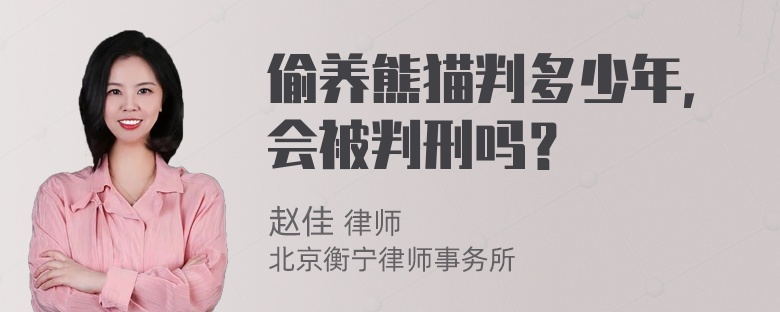 偷养熊猫判多少年，会被判刑吗？