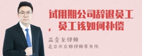 试用期公司辞退员工，员工该如何补偿