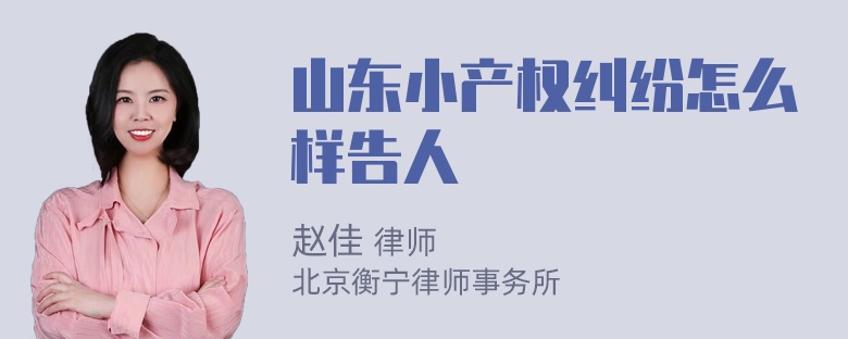 山东小产权纠纷怎么样告人