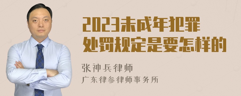 2023未成年犯罪处罚规定是要怎样的